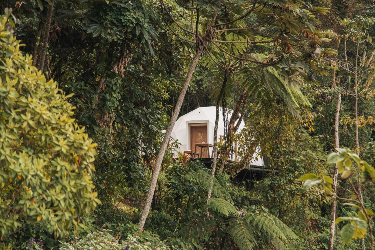 Villa Terramia Estate Minca Esterno foto